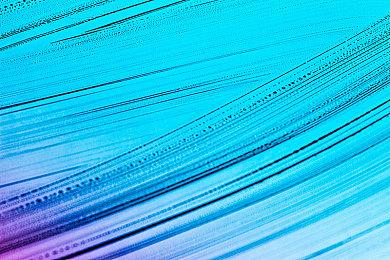 Game Pass 8月游戏阵容公开 《幽灵行动：荒野》现已加入